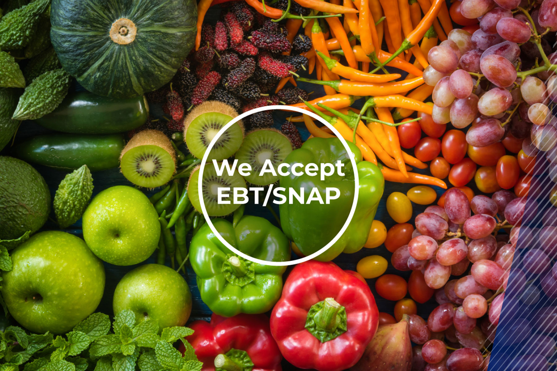 how to accept EBT/SNAP